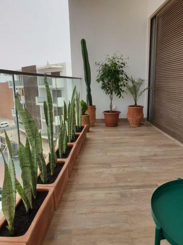 Apartamento Appartement De Haut Standing En R�sidence