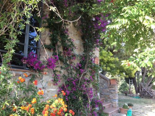 Apartamento Podere San Giuseppe - La Carraia