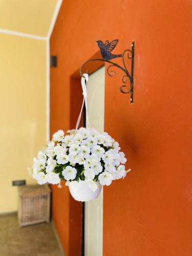 Bed & Breakfast Il Giardino Di Iole