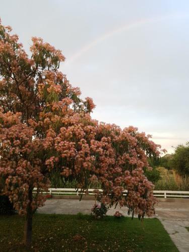 Bed & Breakfast La Villetta