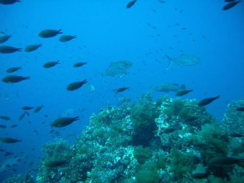 Apartamento Villaggio Est