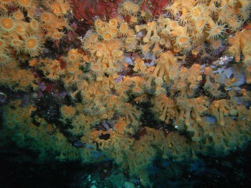 Apartamento Villaggio Est