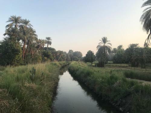 Salatoos Family House And Mango Camp
