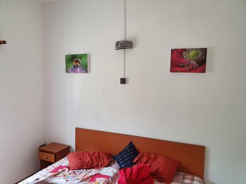 Apartamento Soleil Sur Mer Flic En Flac