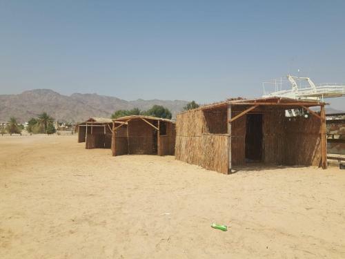 Sina Star Camp