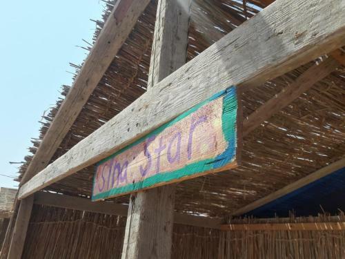 Sina Star Camp