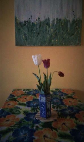 Hostal Pippo House Scandicci