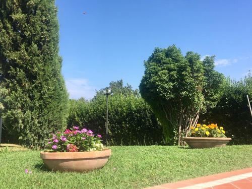 Apartamento Agriturismo Terranera