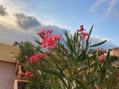 Apartamento La Terrazza Di Re Scarlino
