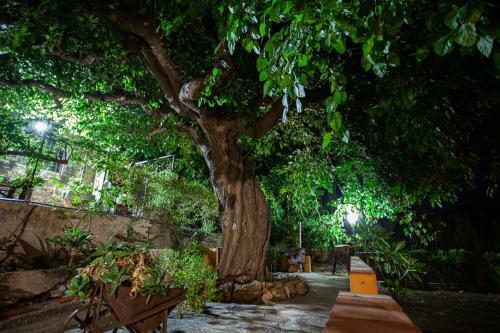 Casa Vacanze Fondaco Di Scillato