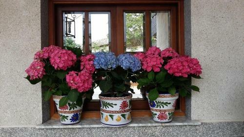 Hotel Condes De Bu�ol
