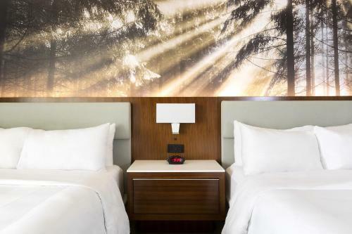 Hotel Greensboro-high Point Marriott Airport