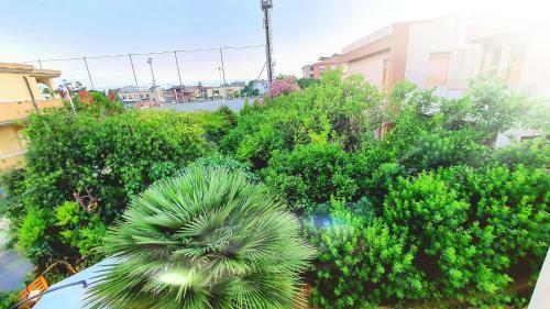 Bed & Breakfast Casa Madda