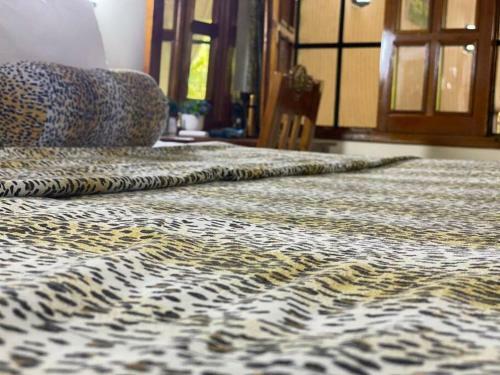 Tembo Court 2 Bedroom Apartment