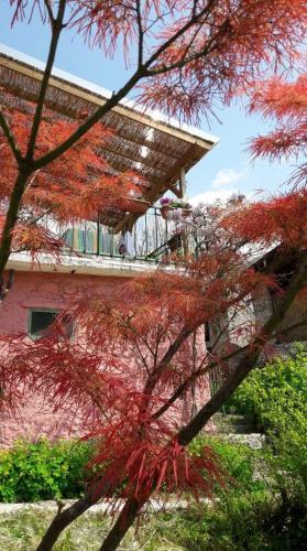 La Casa Rosa Di Segusino (unesco Zone)