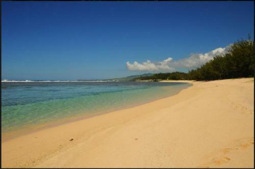 R�sidence An&sy - Loft � Surinam