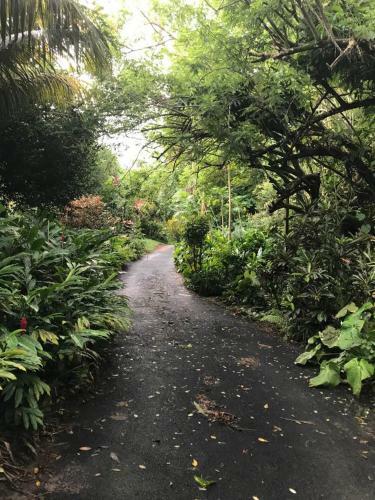 Tropical Garden Self Catering