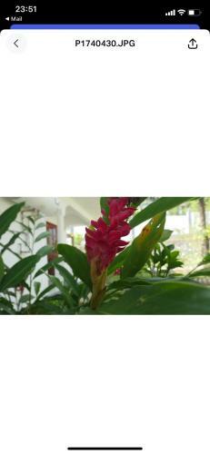Hostal Ogumka, Self Catering , Beoliere, Mahe