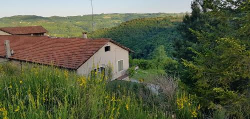 Bed & Breakfast Cascina Brichat Alta Langa