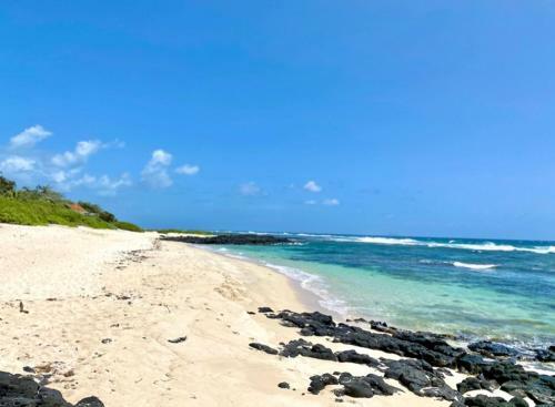 East Coast Beachfront Luxury - Eastern Blue Apartments