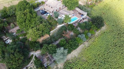 Agroturismo Barbagianni