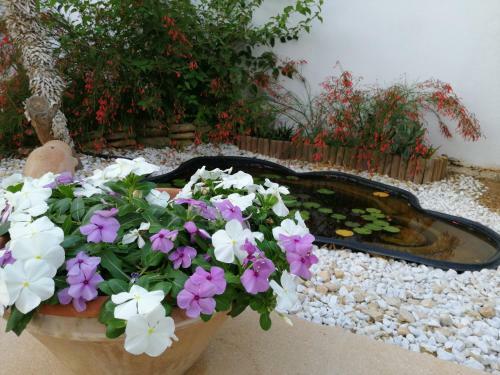 Apartamento Timpi Russi - La Palma