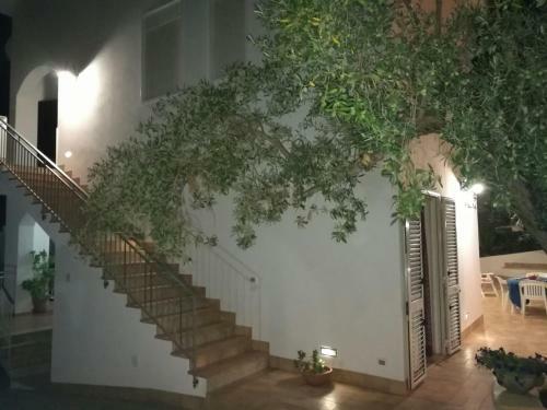 Apartamento Timpi Russi - La Palma