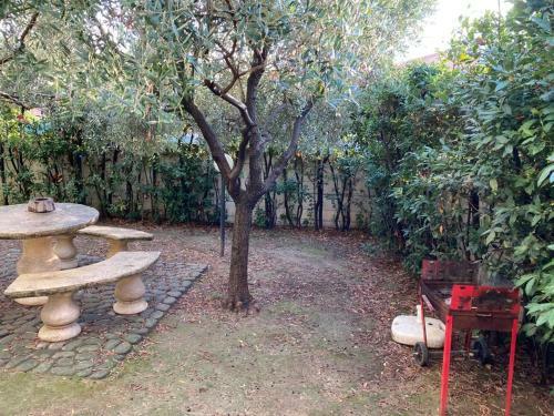 Senigallia Sea Apartment