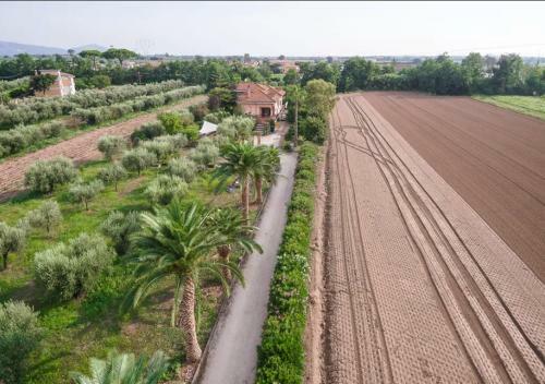 Villa Rosa Lifestyle B&B