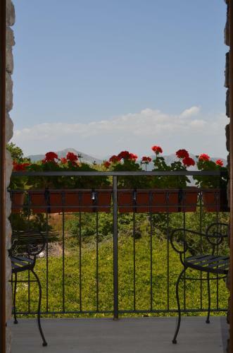 Agroturismo Agriturismo Monte Cesima