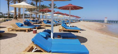 Luxury Rooftop Apartment And Walk To The Beach