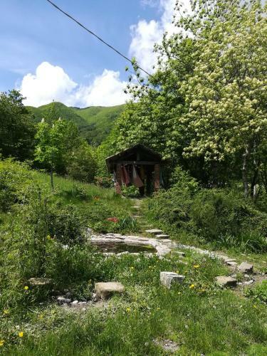 Bed & Breakfast Fattoria La Guedrara