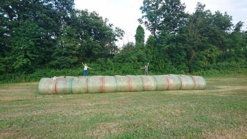 Bed & Breakfast Due Principi E UNA Fata