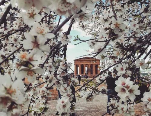 Apartamento Casetta Marconi....tra Mare E Storia!