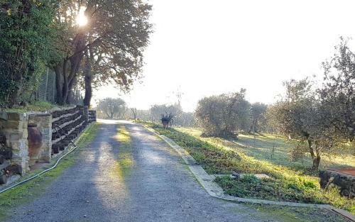 Apartamento Podere Agli Arrighi