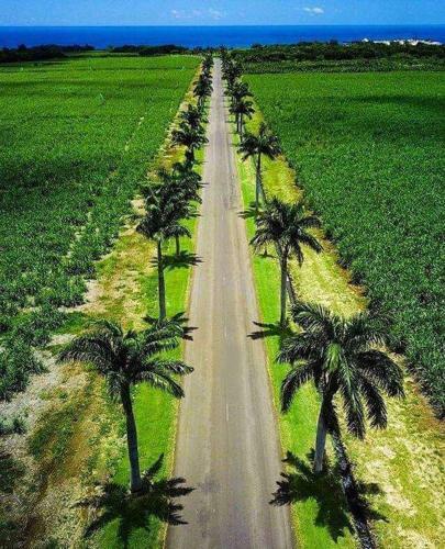 Apartamento Apex Kite Studio - Seaview