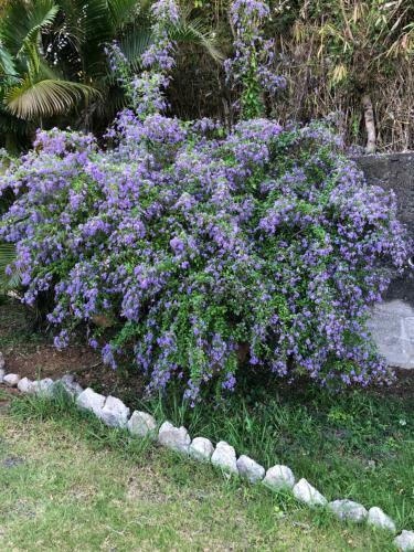 Apartamento Grand T3 - Bellepierre St Denis