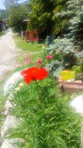 Campeggio Chisonetto