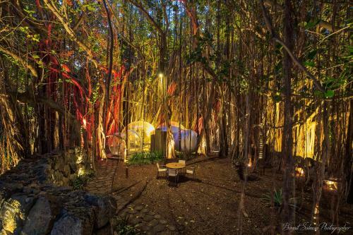 Bubble Lodge Ile Aux Cerfs Island