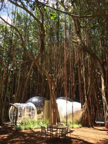 Bubble Lodge Ile Aux Cerfs Island