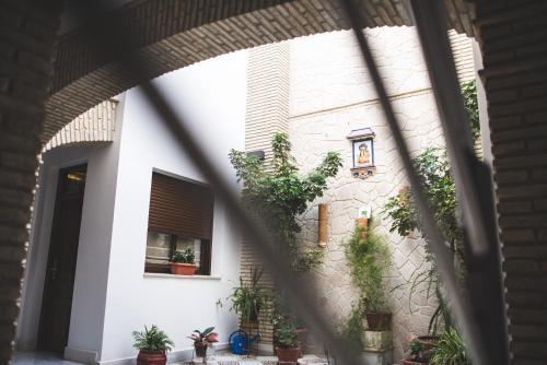Apartamento Posada De Momo