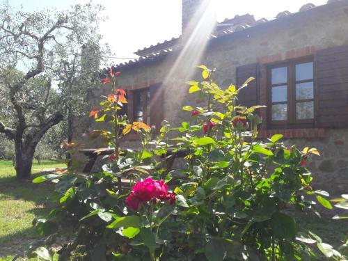 Agroturismo La Casina Degli Ulivi
