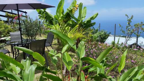 Apartamento Studio Pour Escapade � La R�union; �le Intense