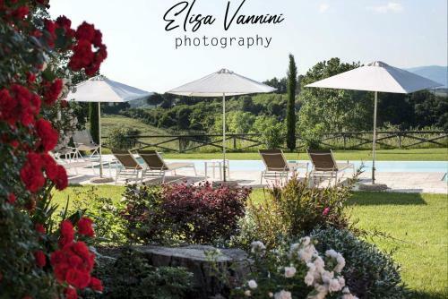 Apartamento Bilocale Di Villa S Marco Con Piscina
