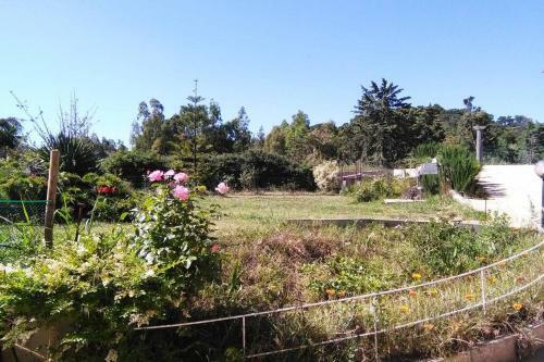 A Paradise In Sardinia. 5 Minutes From The Sea