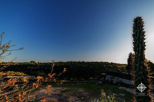 Villa Clara Country Retreat