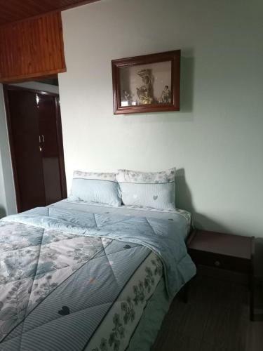 Hostal Room In Apartment - Puma Garden And Suites
