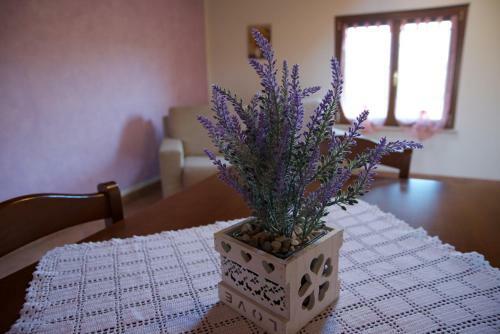Agroturismo Agriturismo Albarello