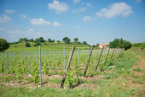 Agroturismo Agriturismo Albarello