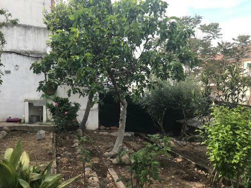Albergue Las Veletas